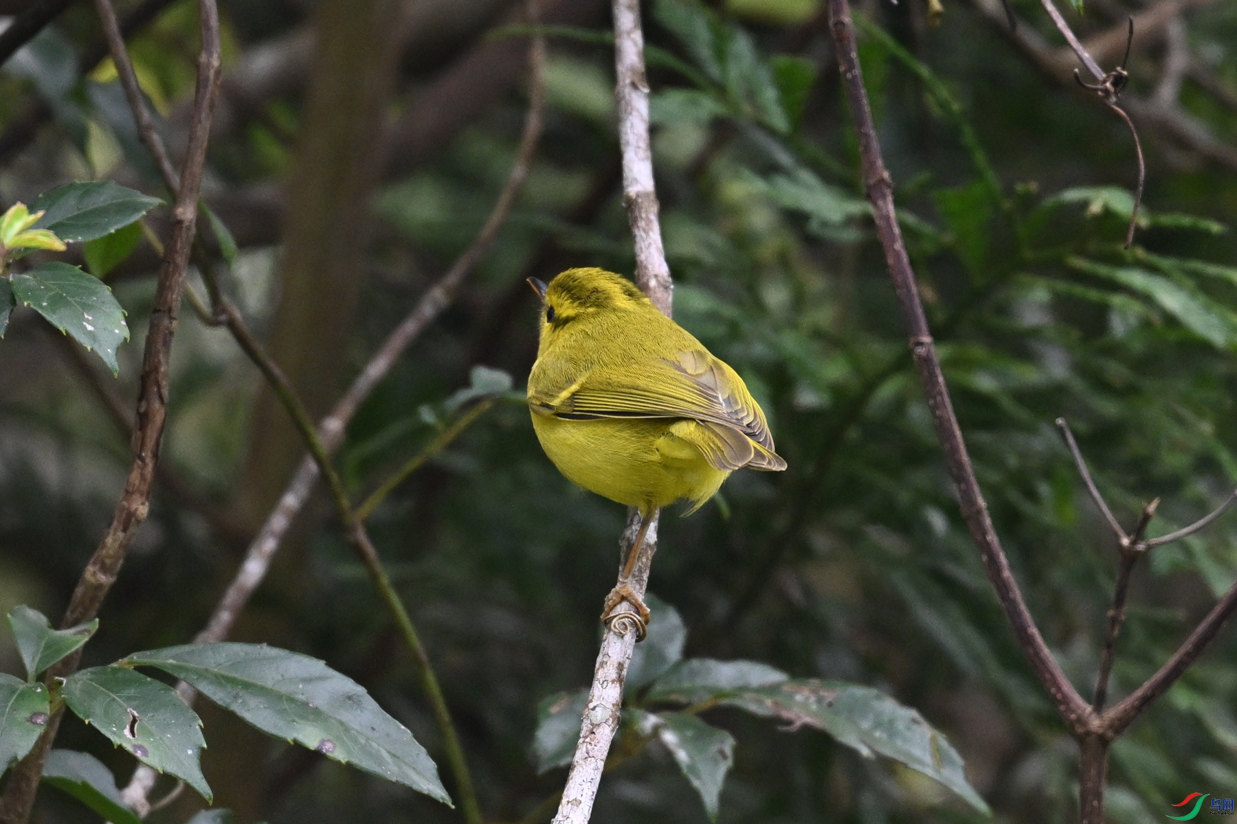 DSC_7100.JPG