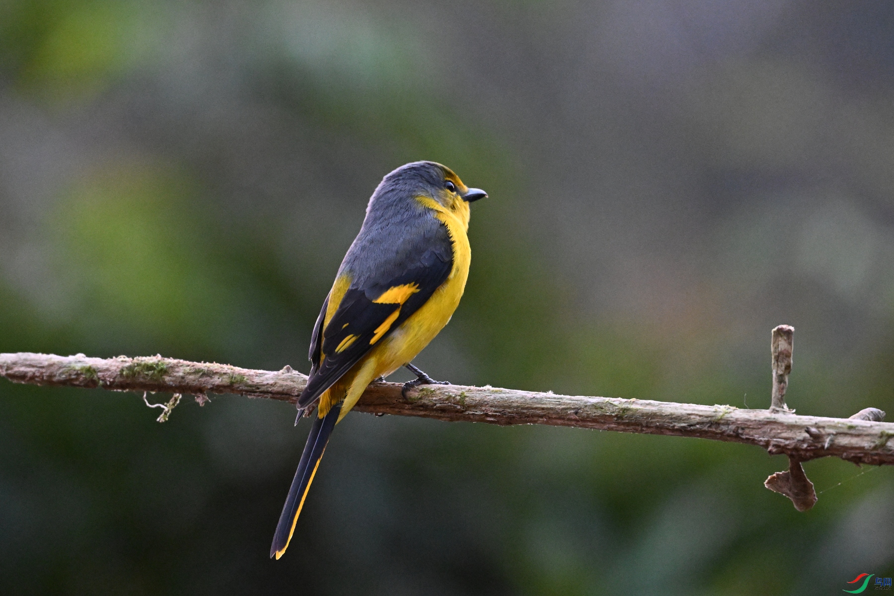 DSC_7028.JPG