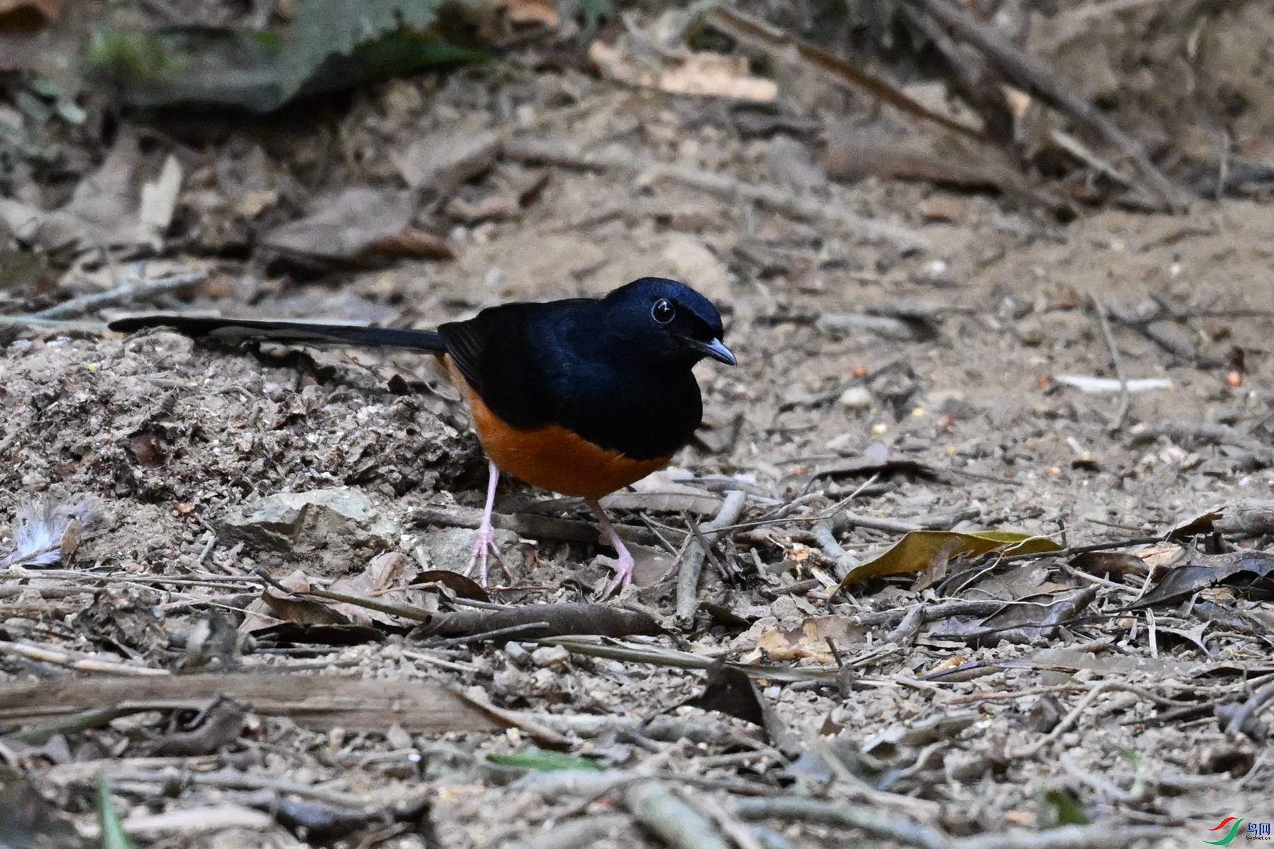 DSC_7142.JPG