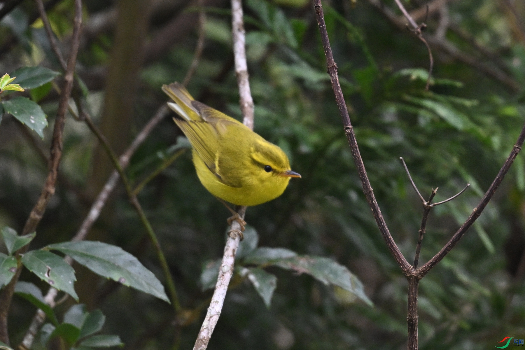 DSC_7105.JPG