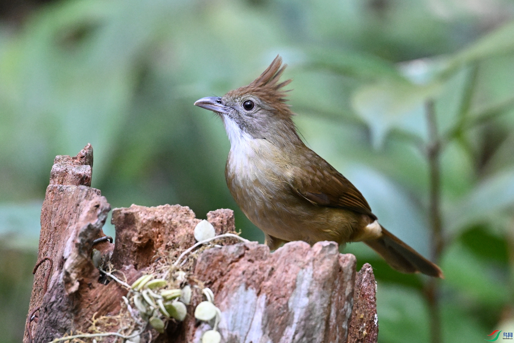 DSC_7146.JPG