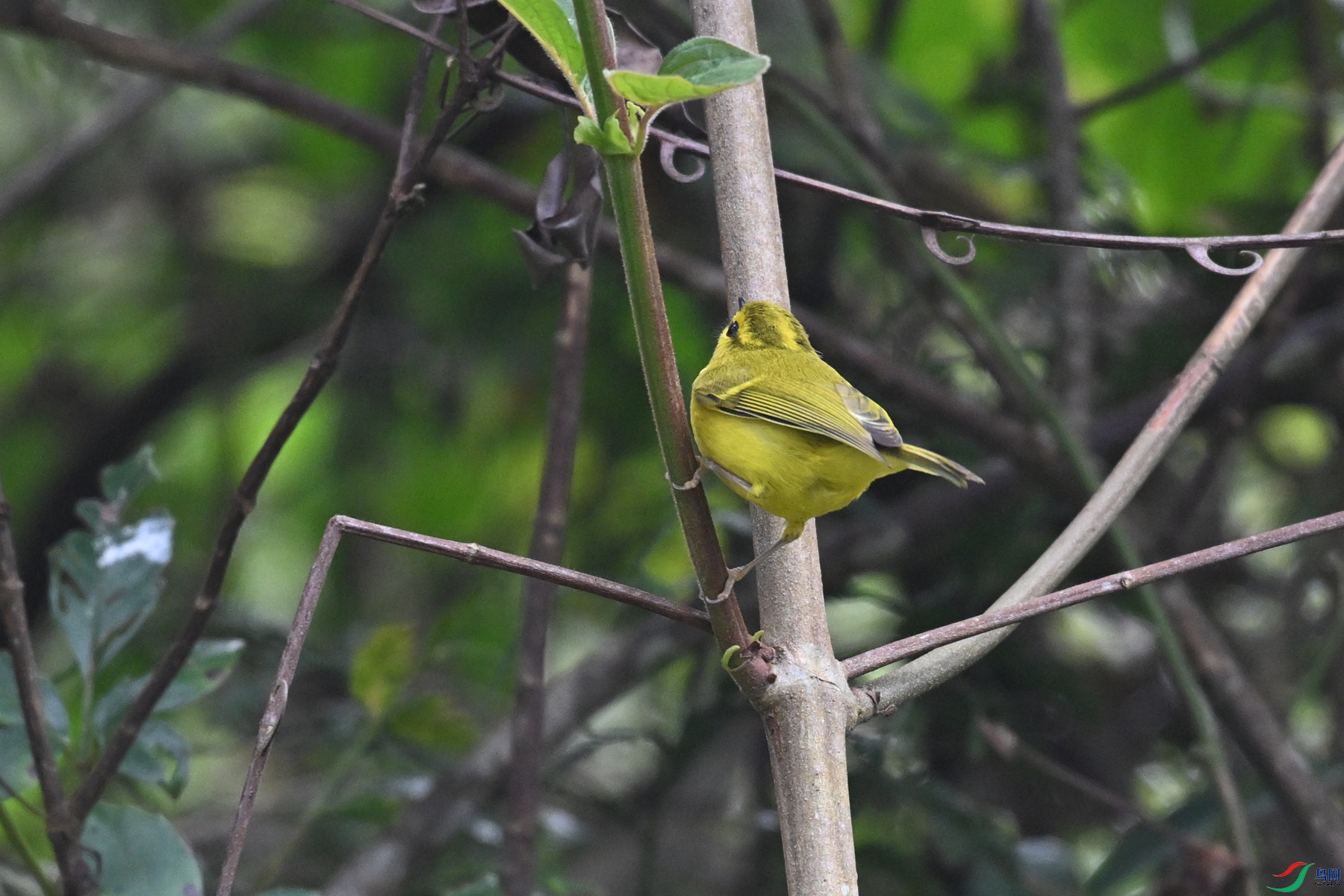 DSC_7114.JPG