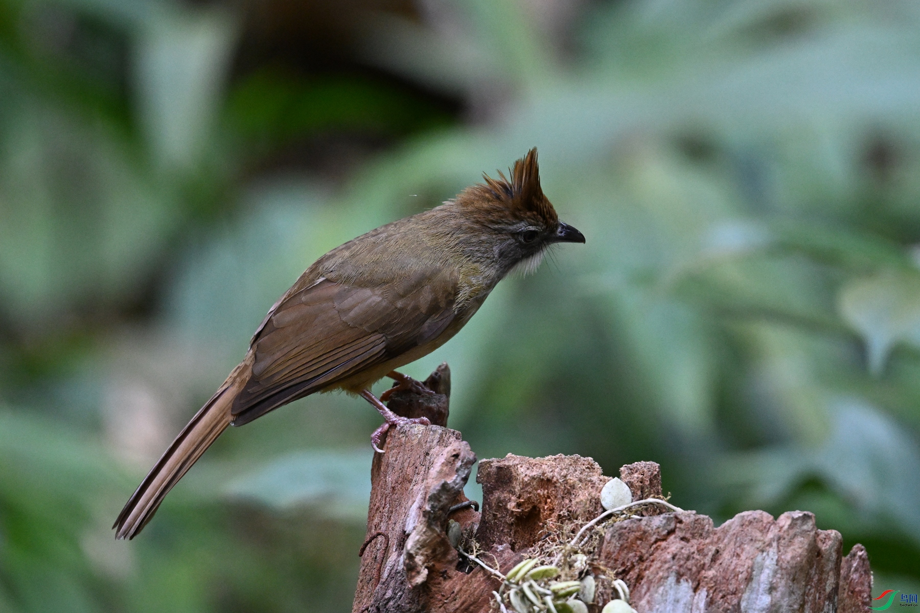 DSC_7151.JPG