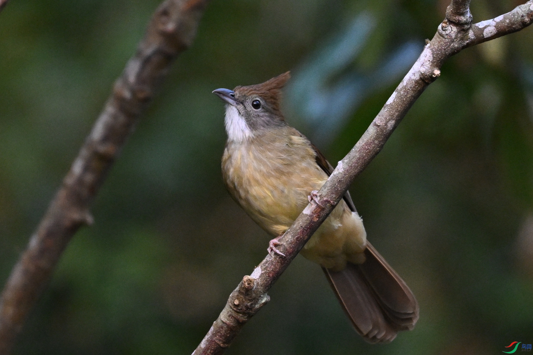 DSC_7039.JPG