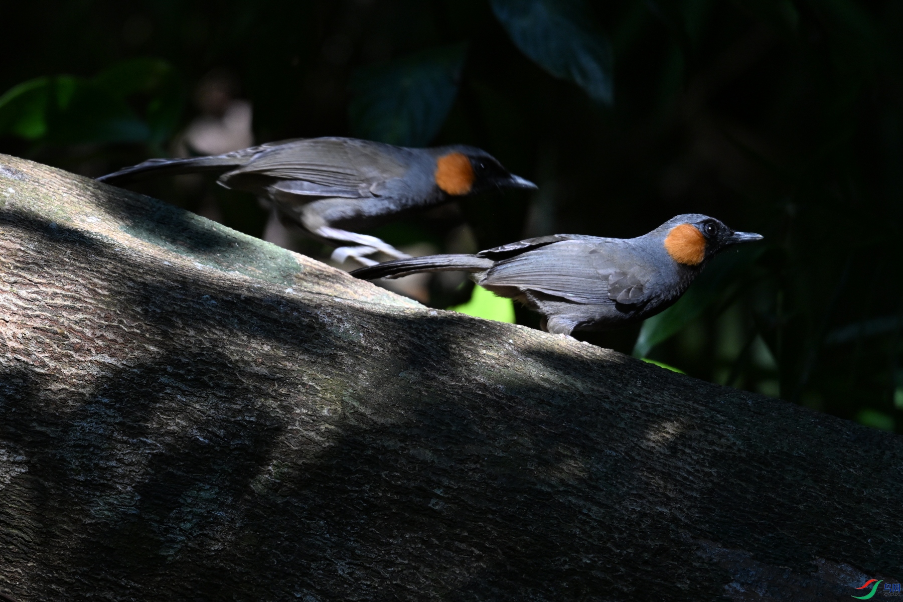 DSC_7191.JPG