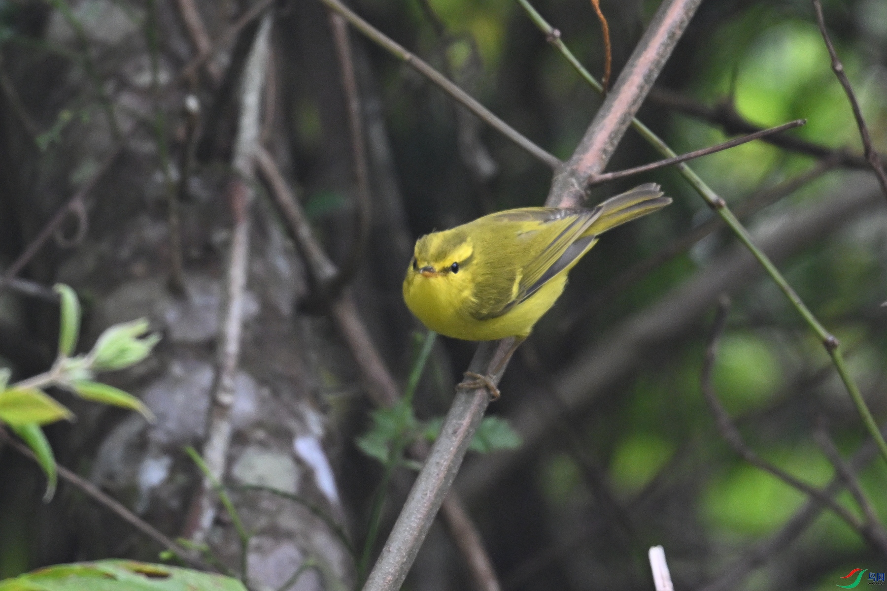 DSC_7121.JPG