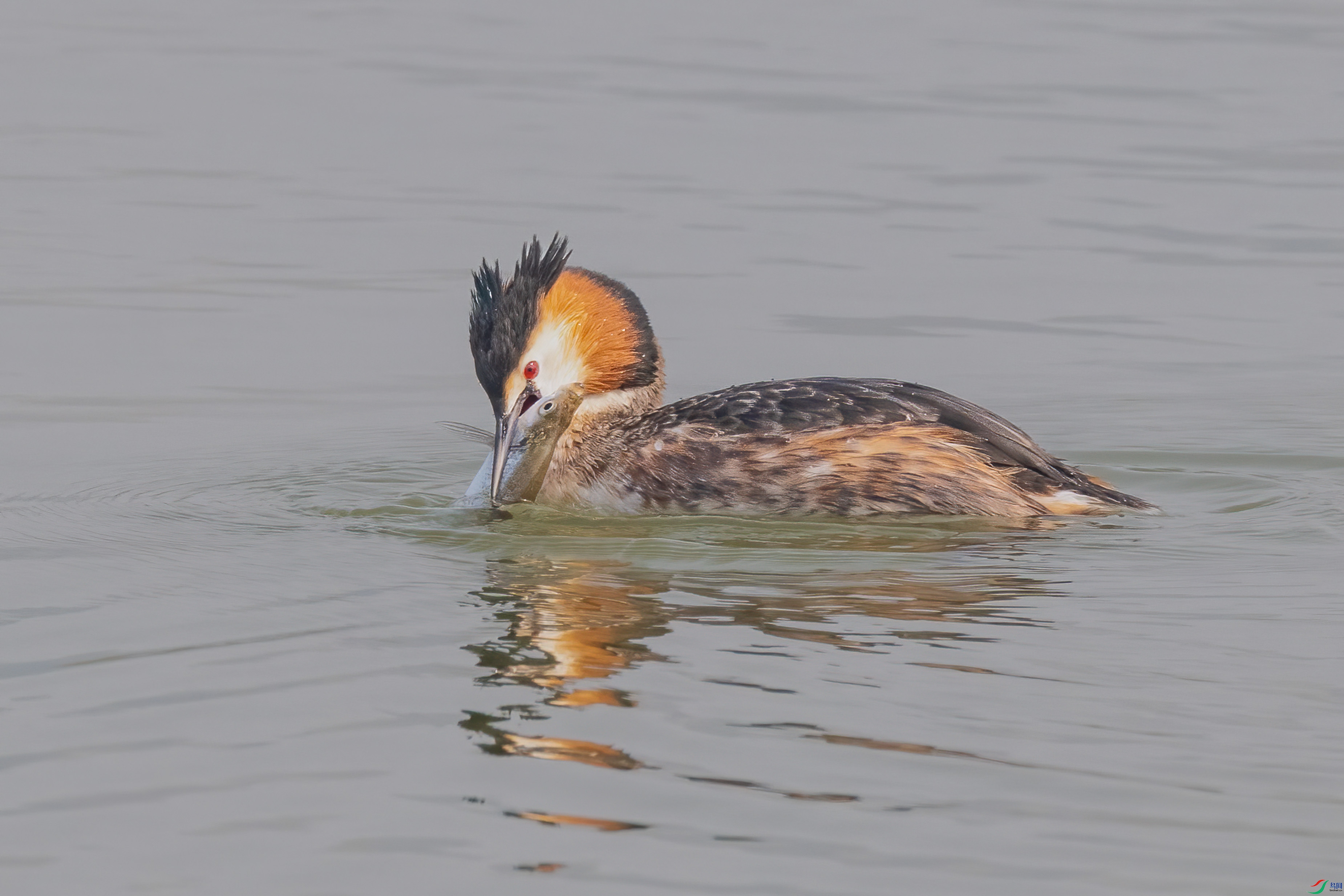 DSC_1634.jpg