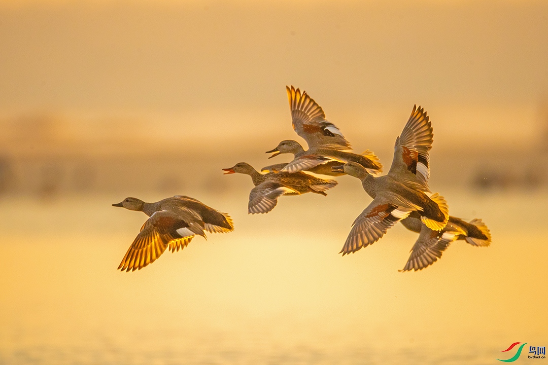 20260324 (106) ����.jpg