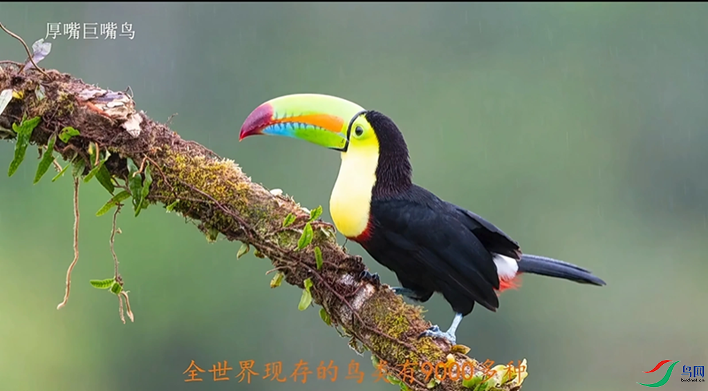 7c58d0e6f476ad6b3d63885e0f6d5a94_720.png