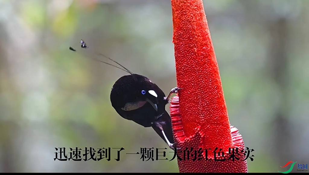 68ea7d880d0ea27e43fb465fbefb9727_720.png