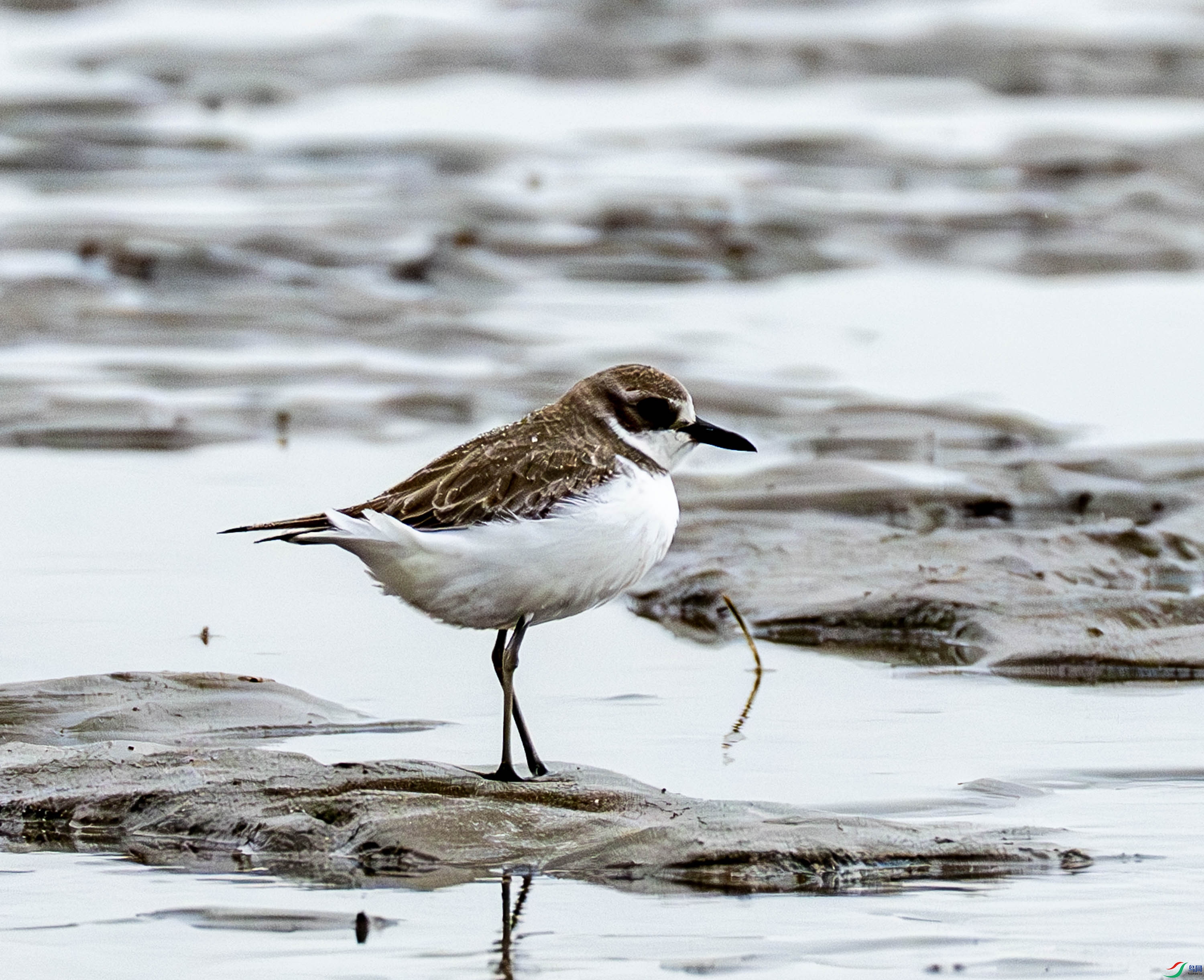 ����ɳ�a-01-7.jpg
