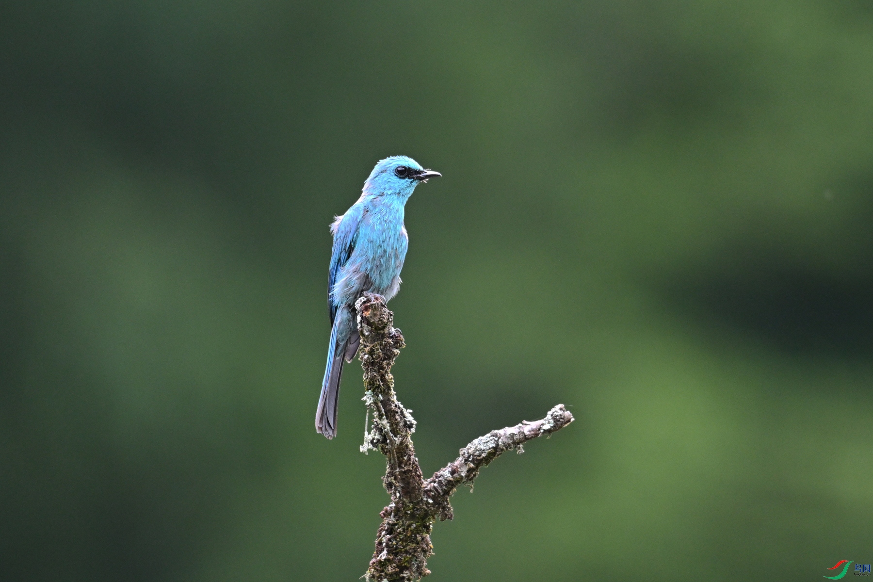 DSC_3126.JPG