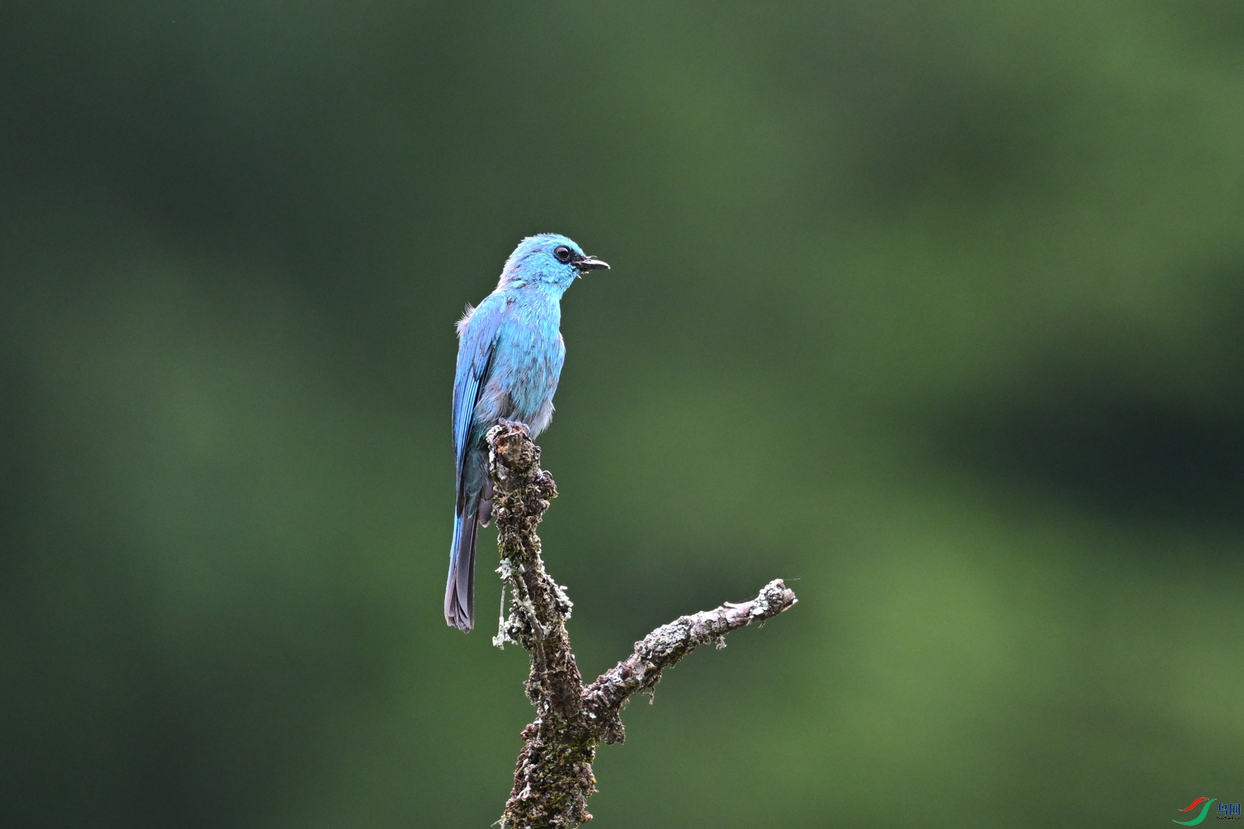 DSC_3141.JPG