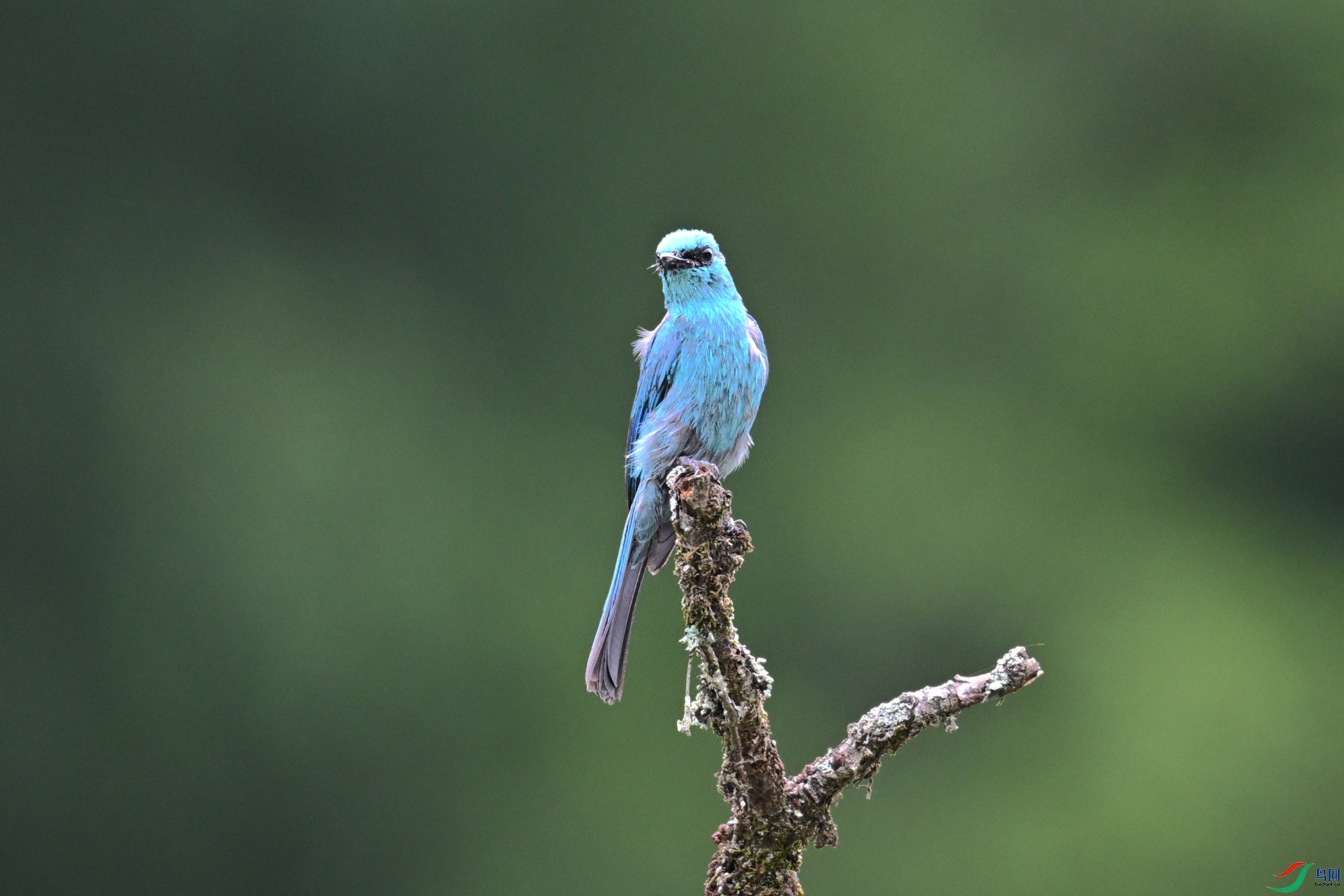 DSC_3121.JPG