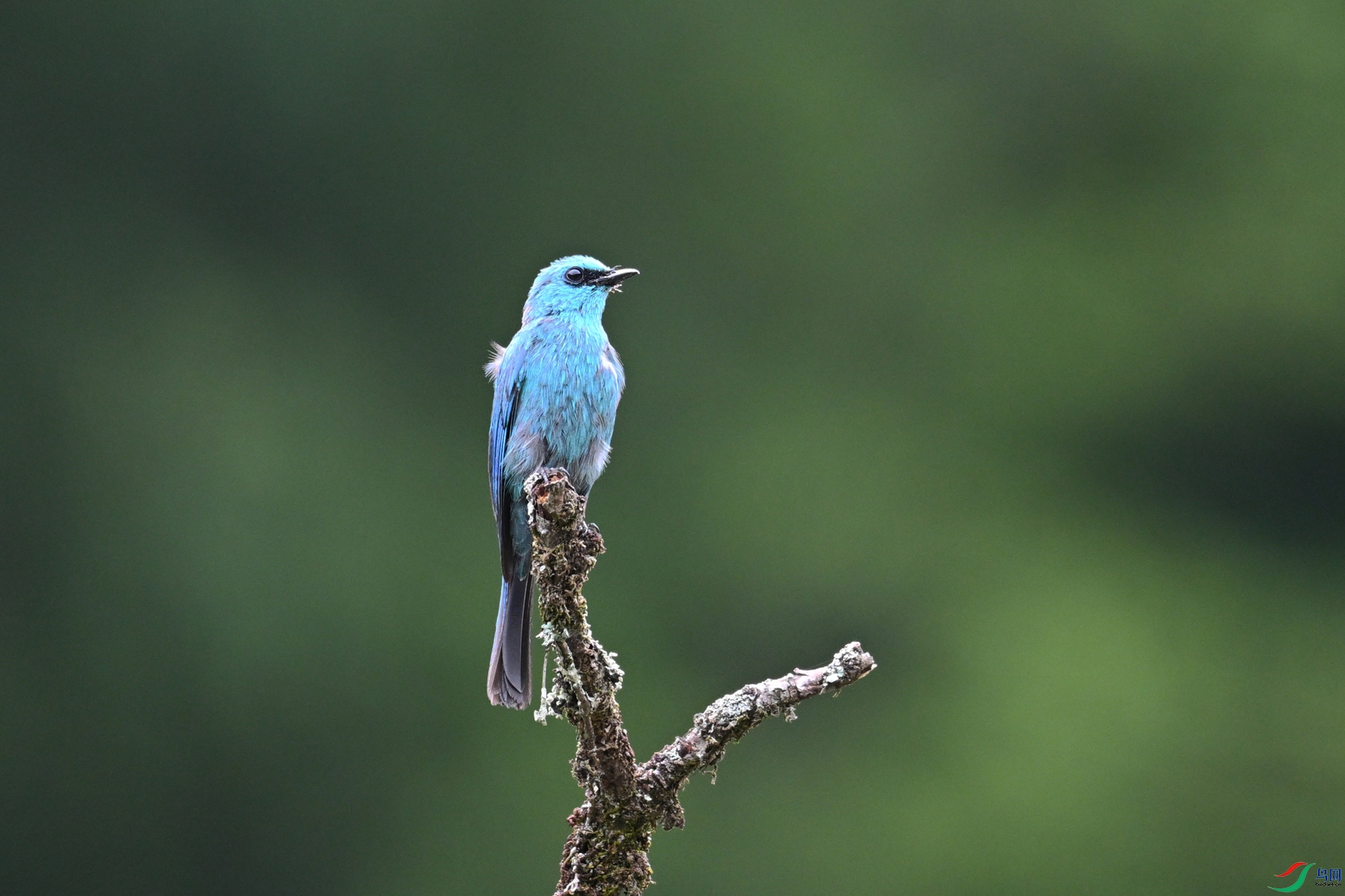 DSC_3143.JPG
