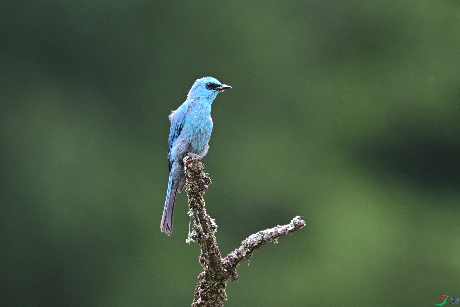 DSC_3125.JPG