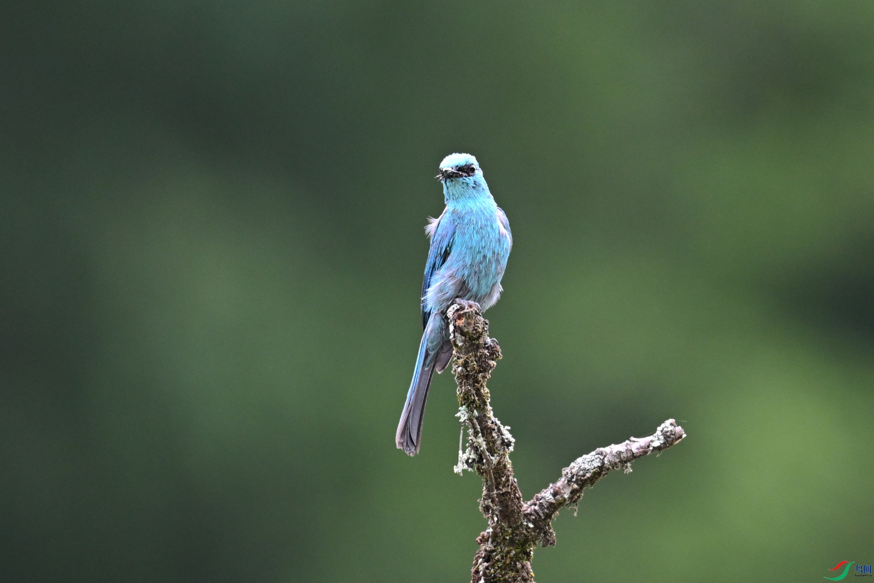 DSC_3123.JPG