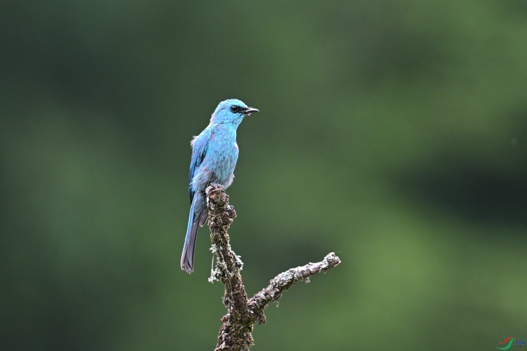 DSC_3127.JPG