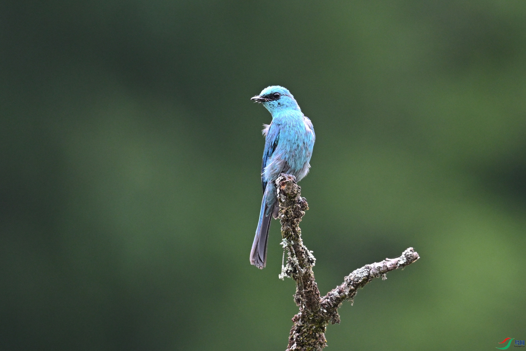 DSC_3129.JPG