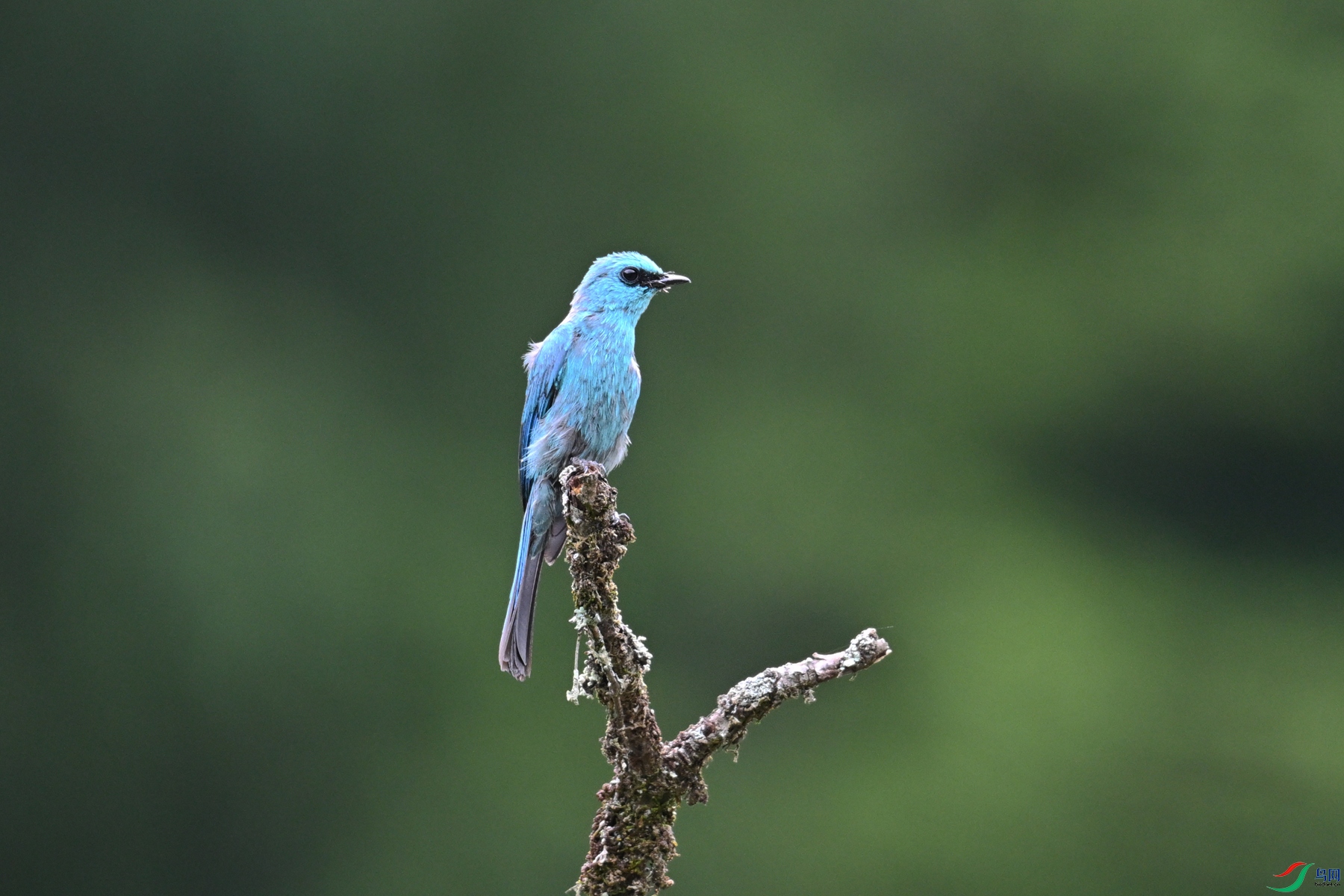 DSC_3128.JPG