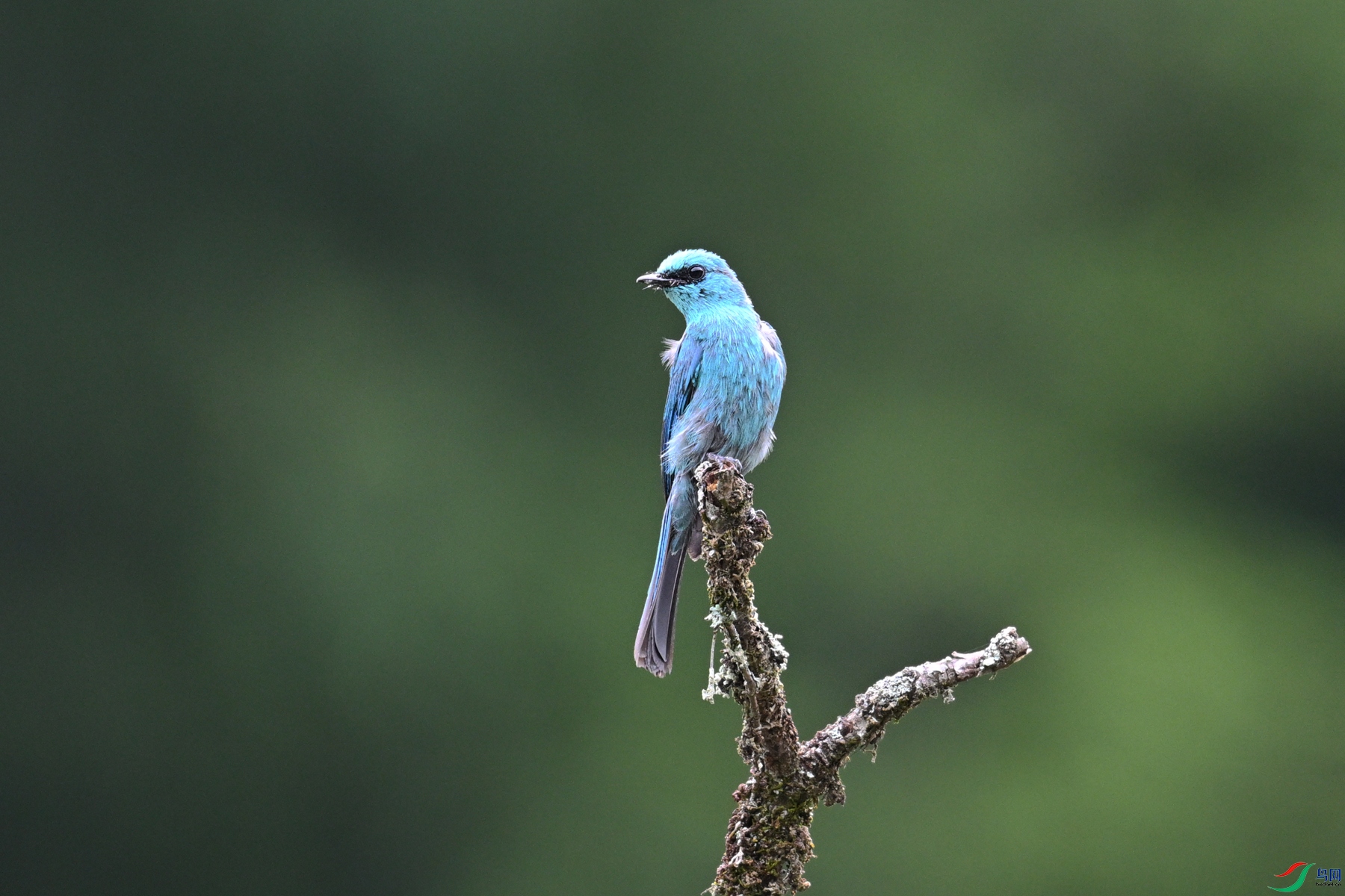 DSC_3130.JPG
