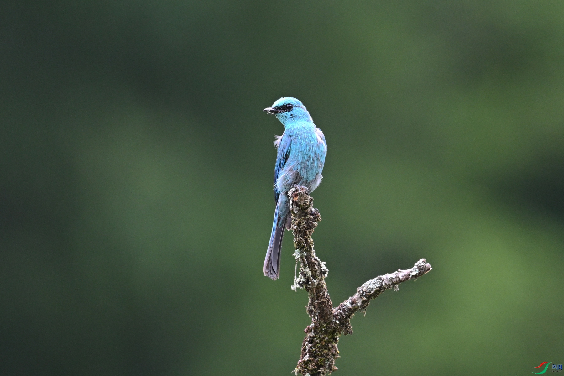 DSC_3131.JPG