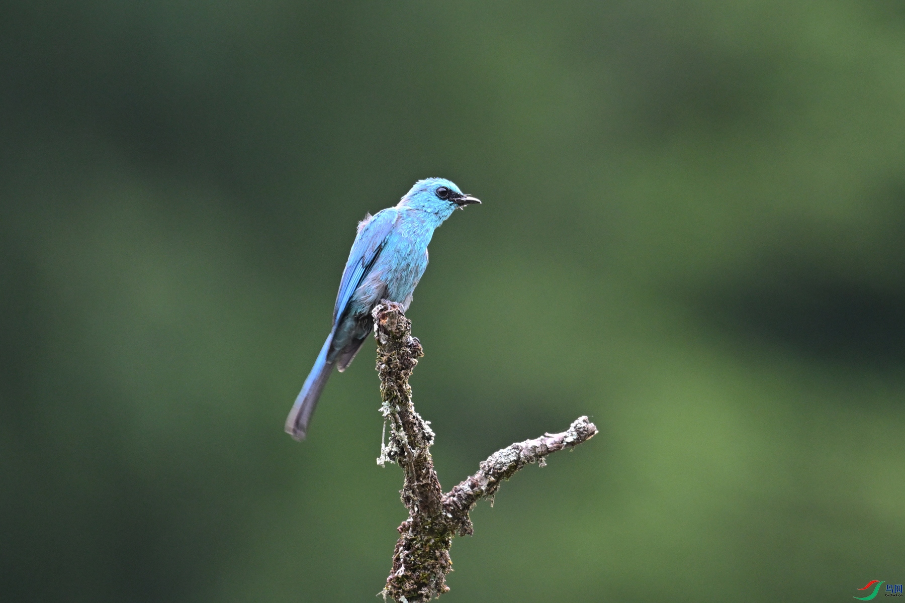 DSC_3134.JPG