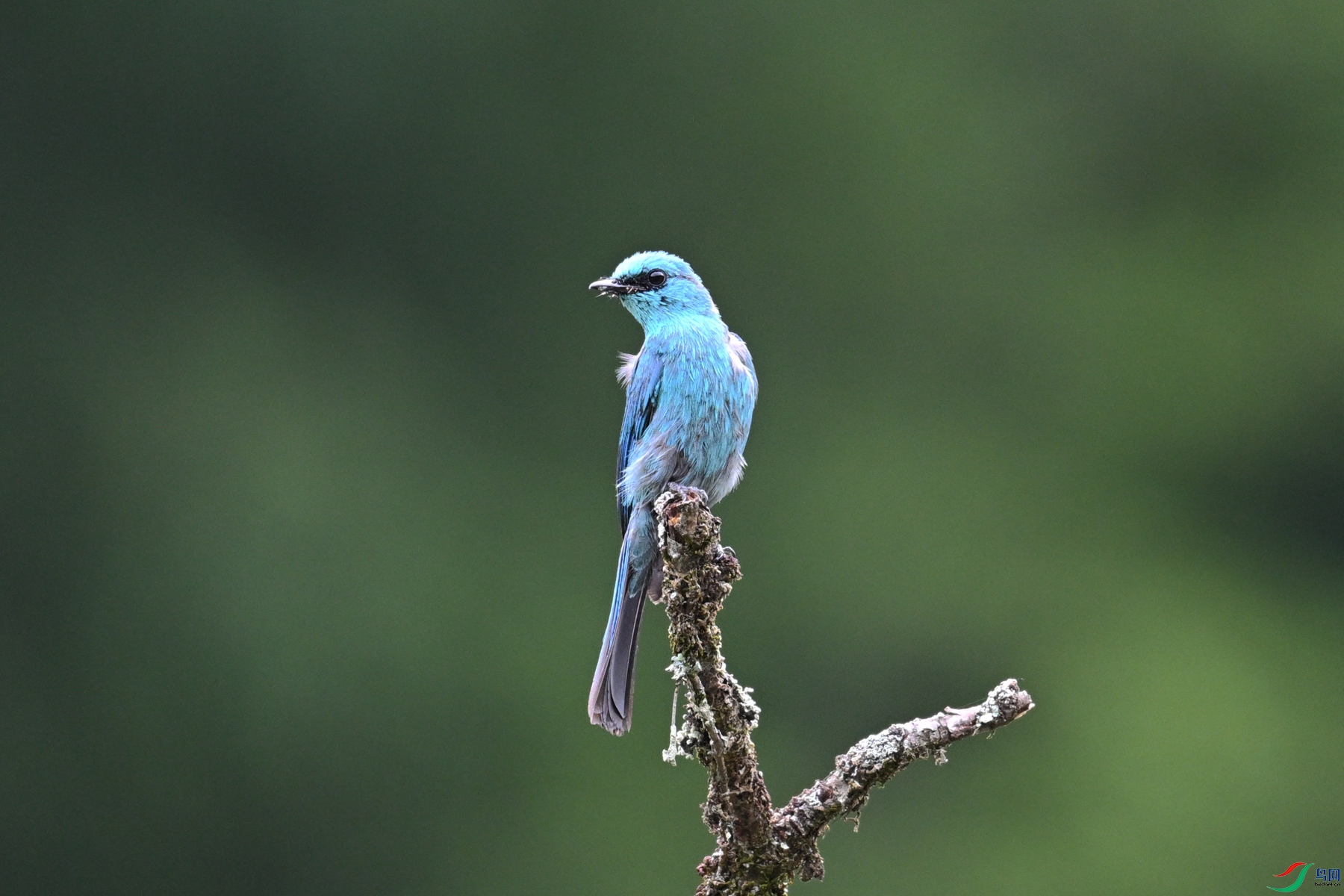 DSC_3132.JPG