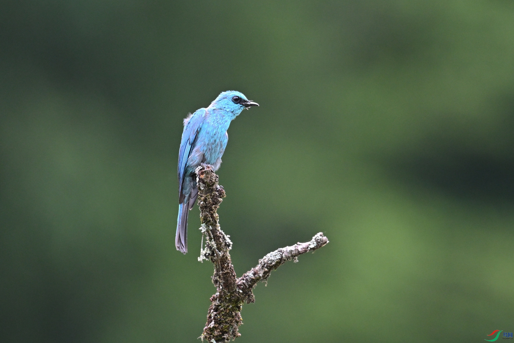 DSC_3135.JPG