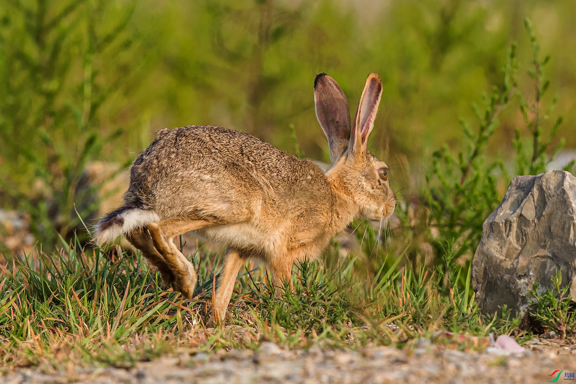 _90I3957 ����.jpg