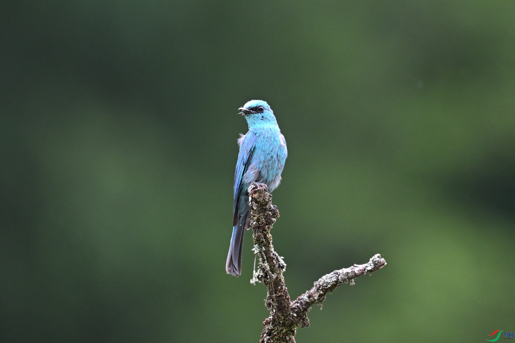 DSC_3136.JPG