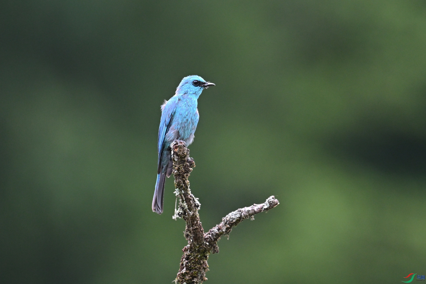 DSC_3137.JPG