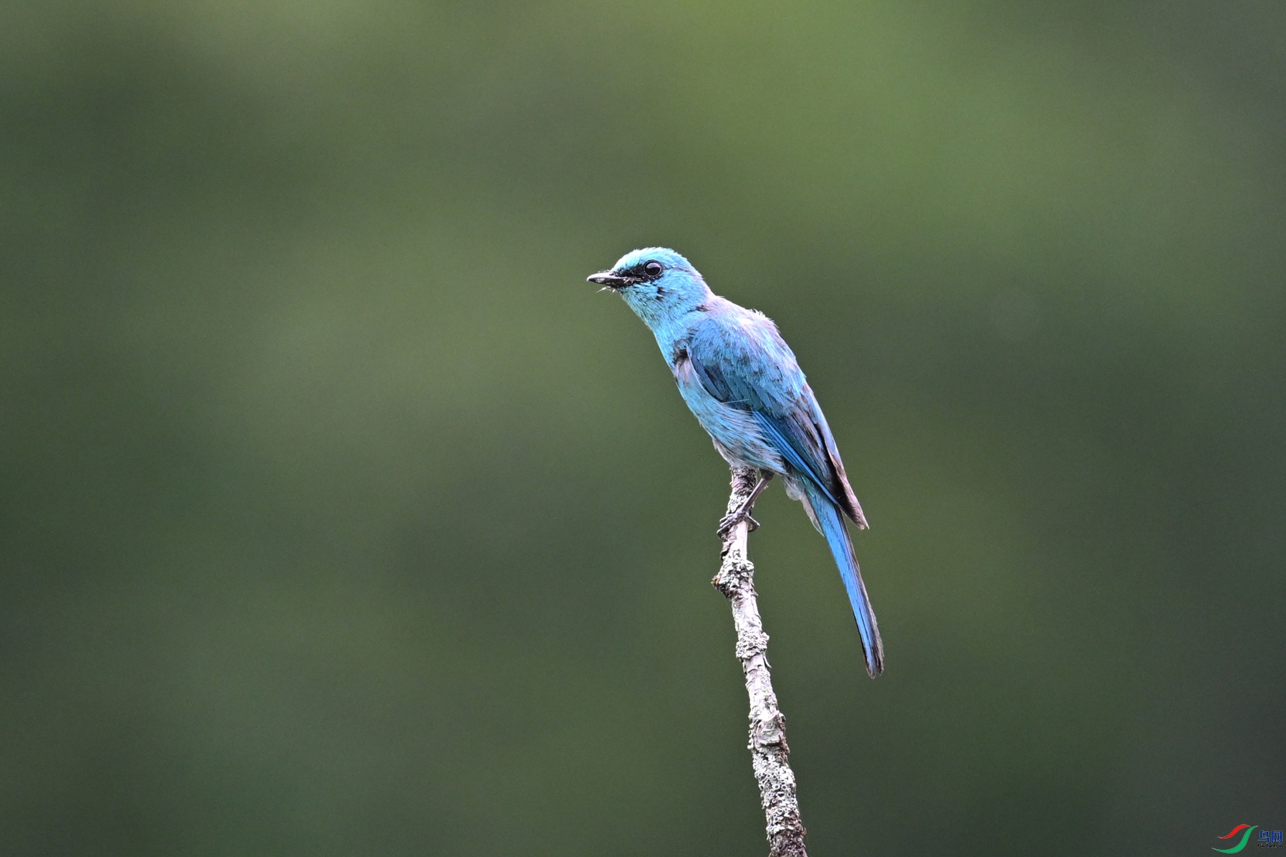 DSC_3151.JPG
