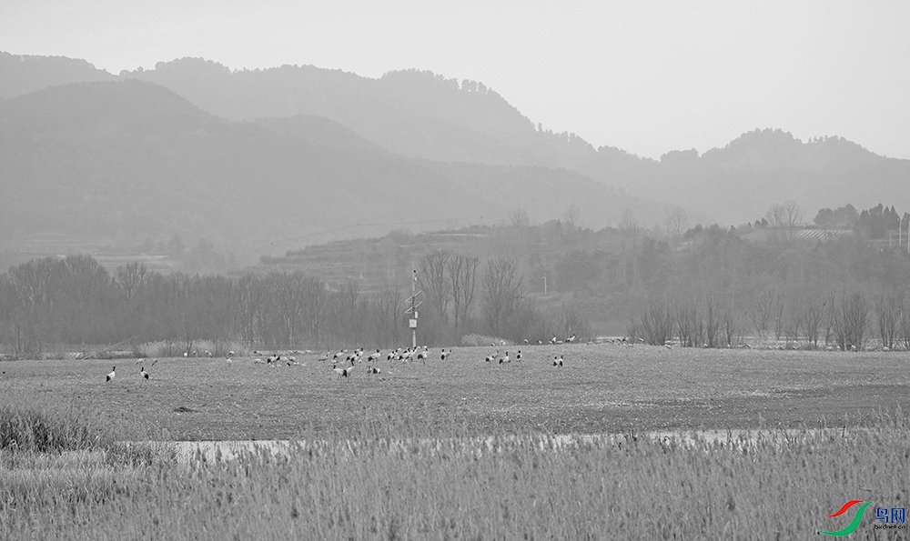 DSCF0736.1.jpg