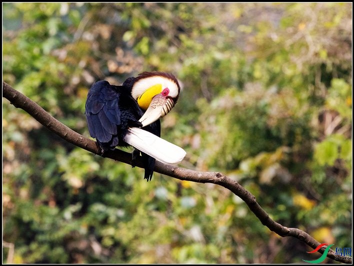 �������Ϭ��