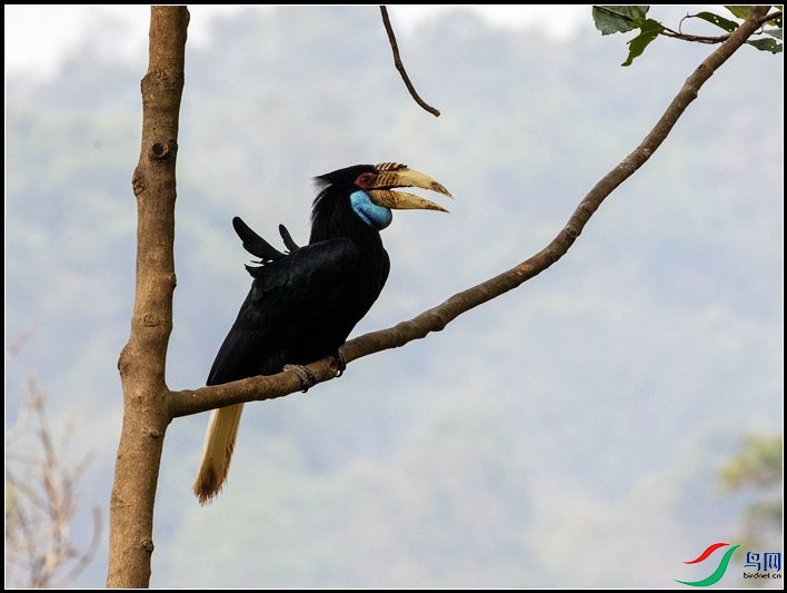 �������Ϭ��