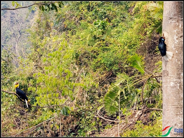 �������Ϭ��