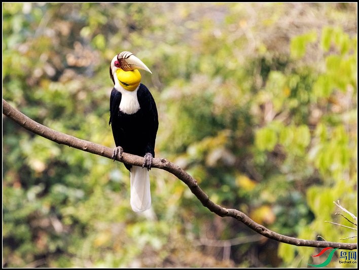 �������Ϭ��