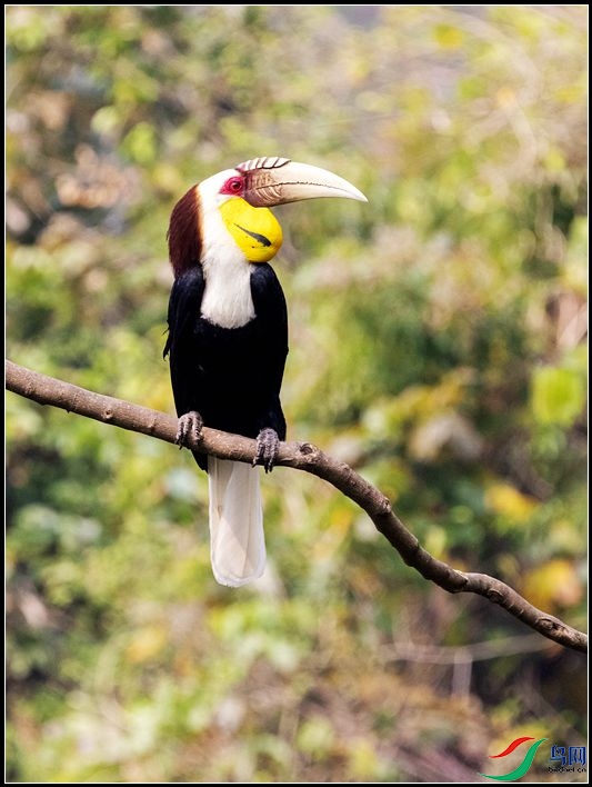 �������Ϭ��