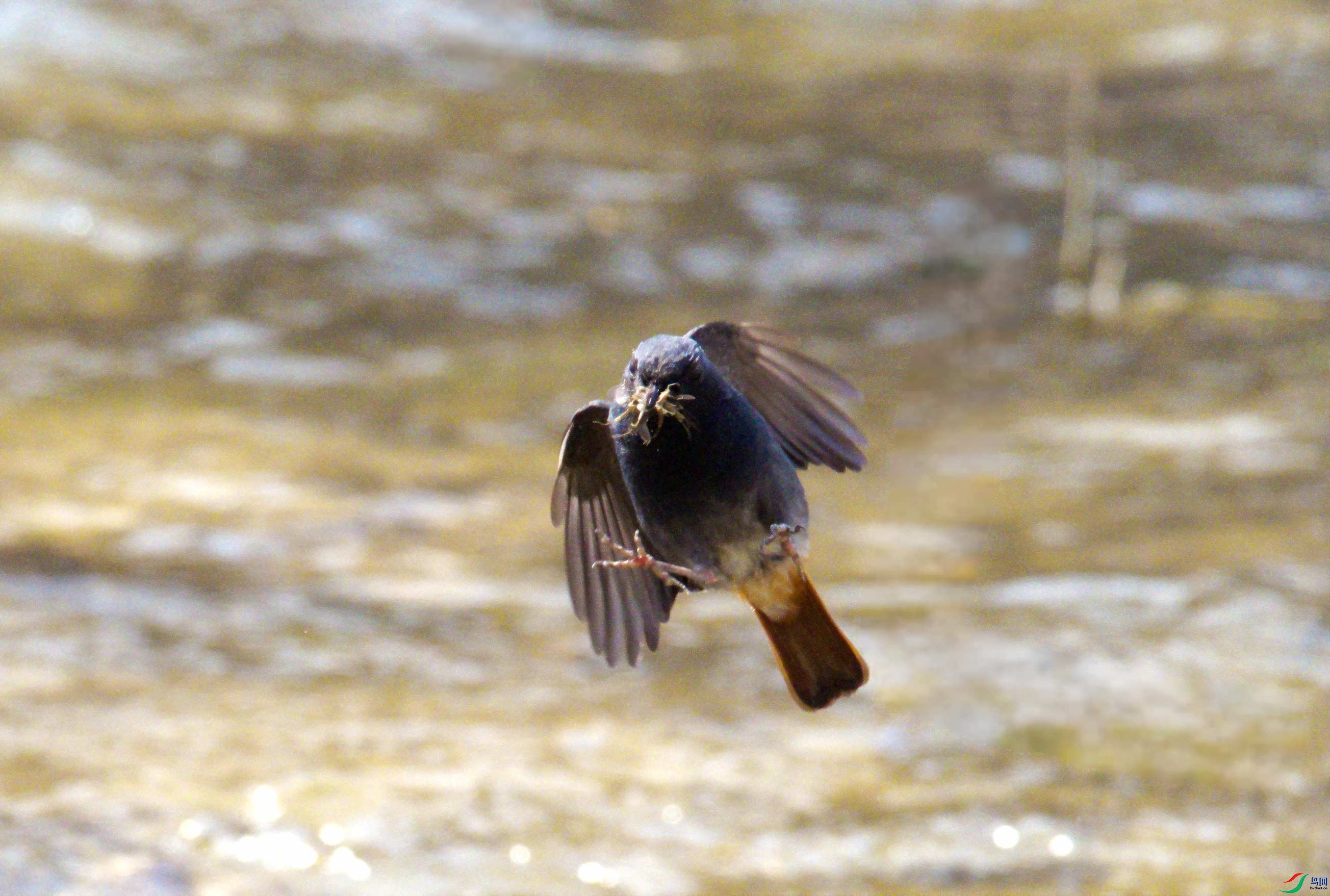 P3250498_����.jpg