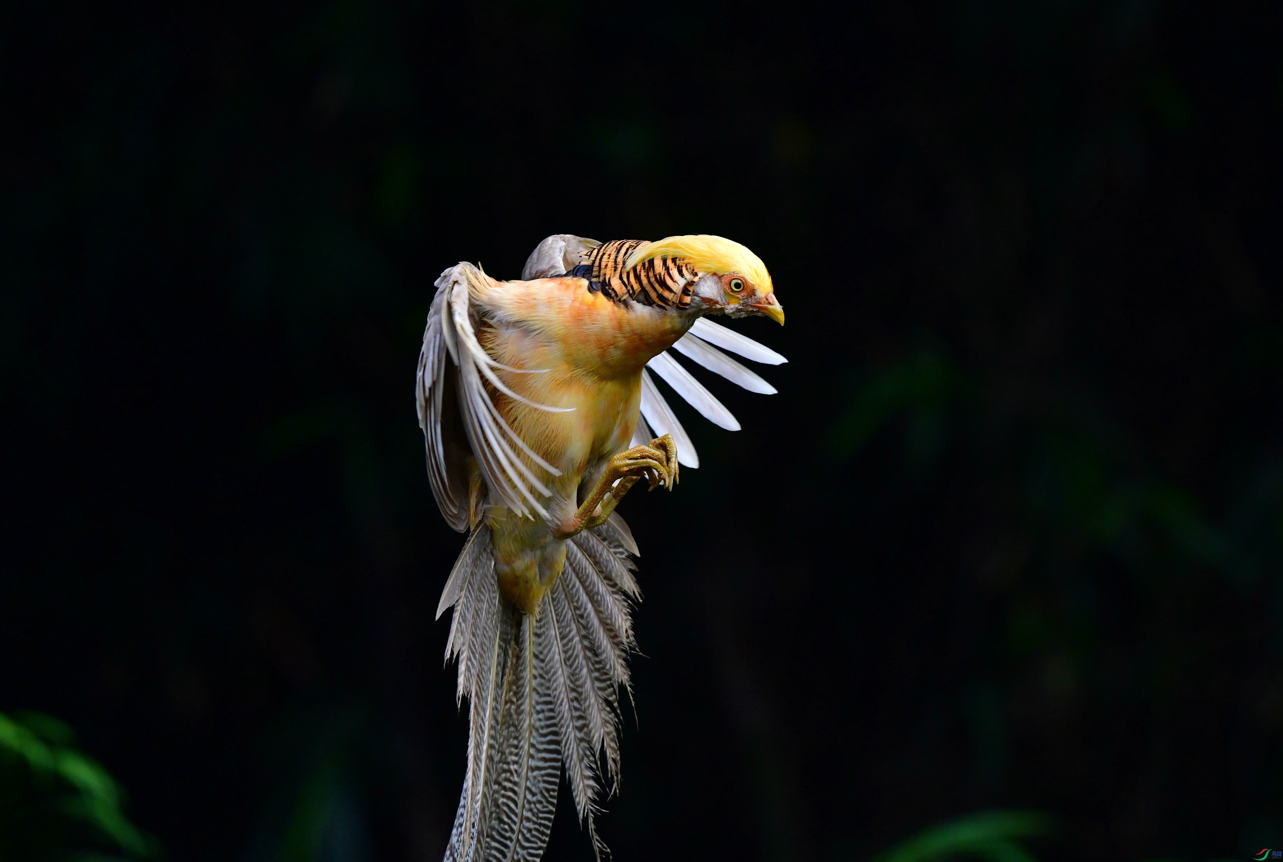 DSC_9344_��ͼ��_����333.jpg