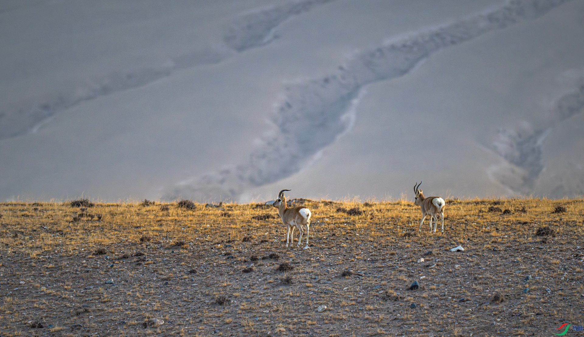 _DSC4642_����.jpg