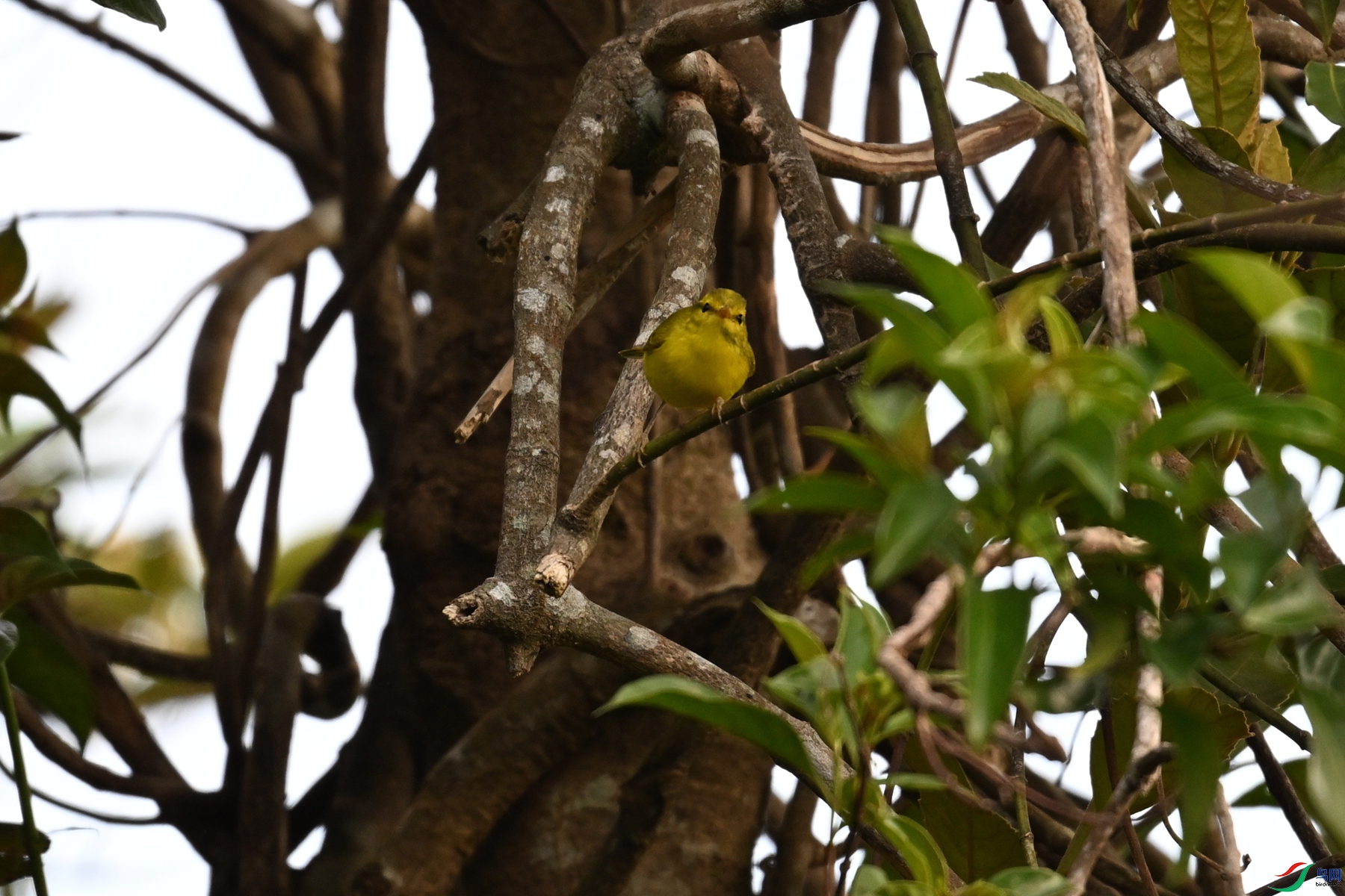 DSC_7132.JPG