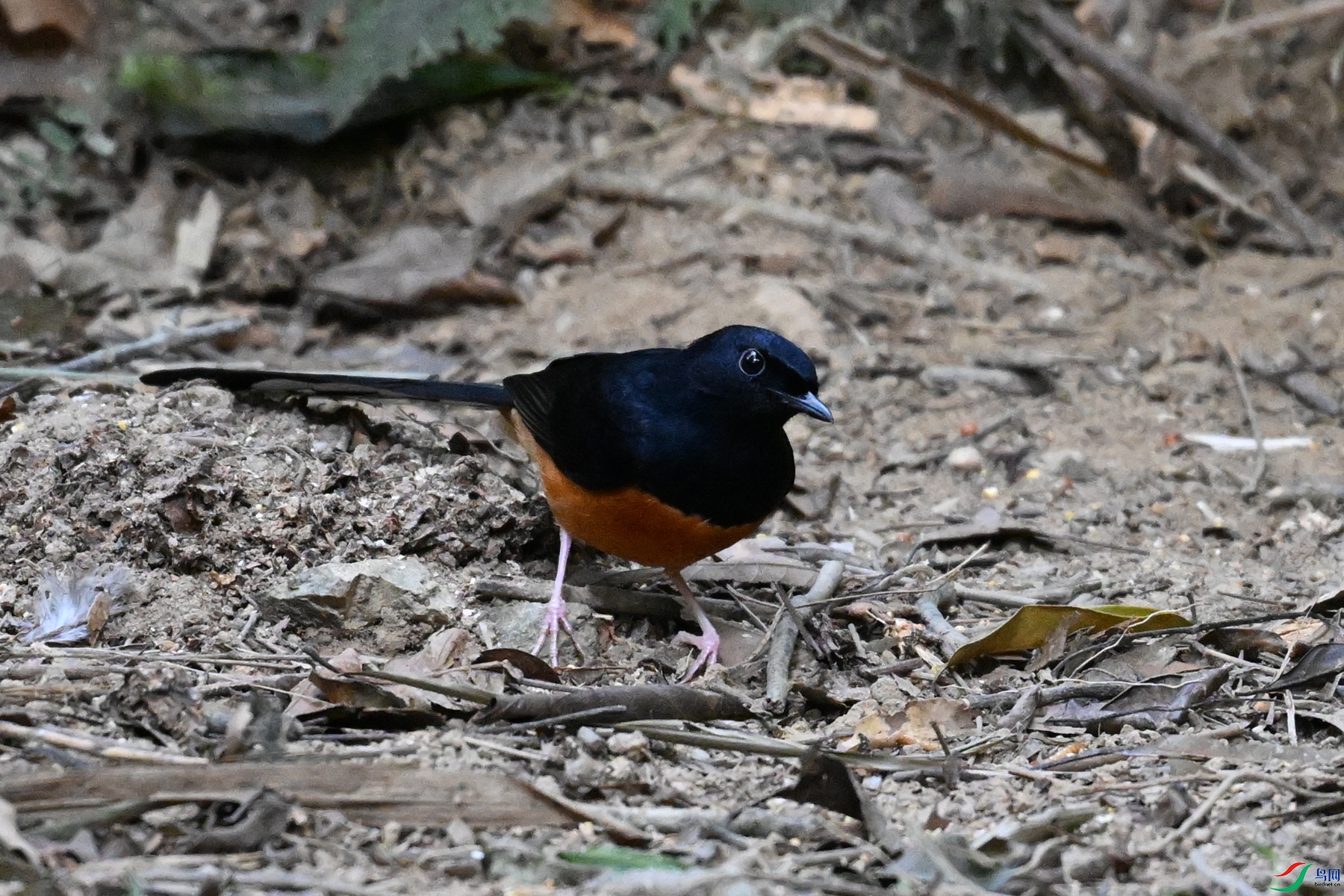 DSC_7143.JPG