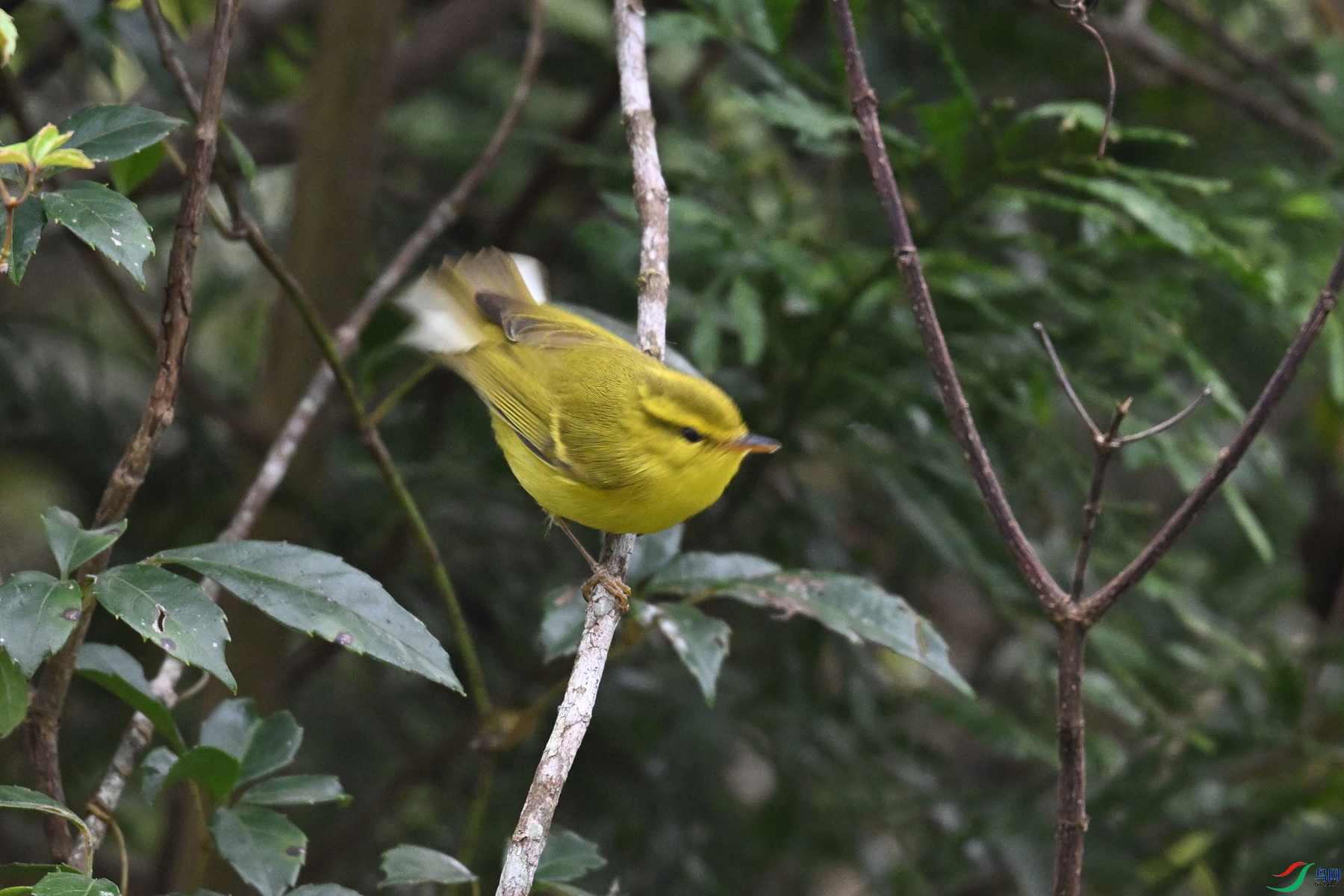 DSC_7077.JPG