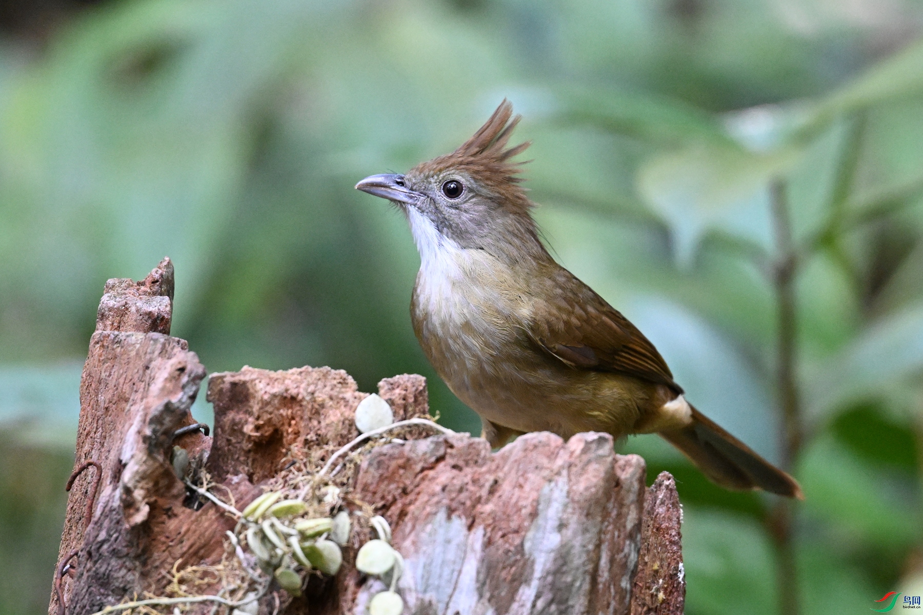 DSC_7147.JPG