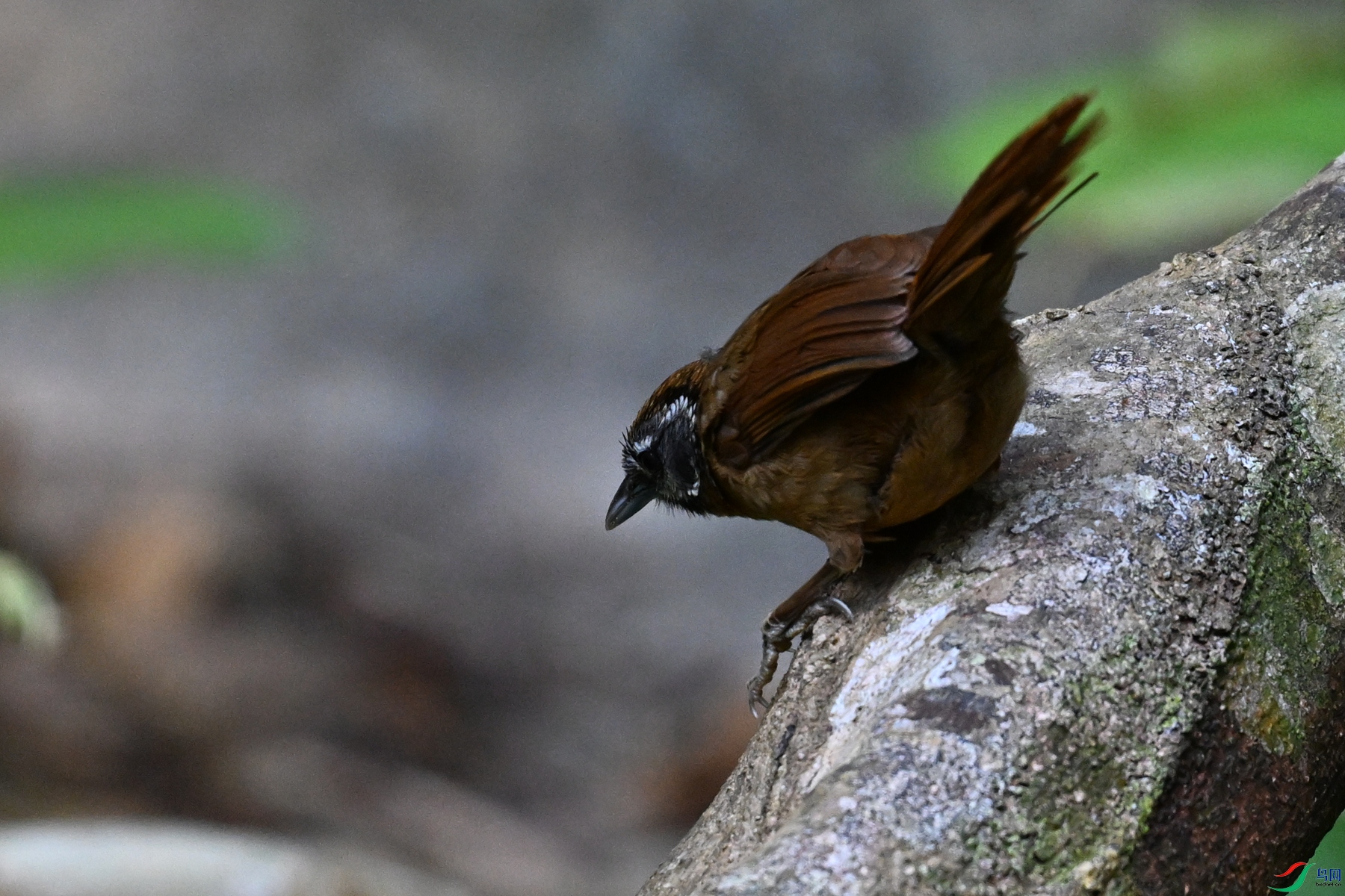 DSC_7214.JPG