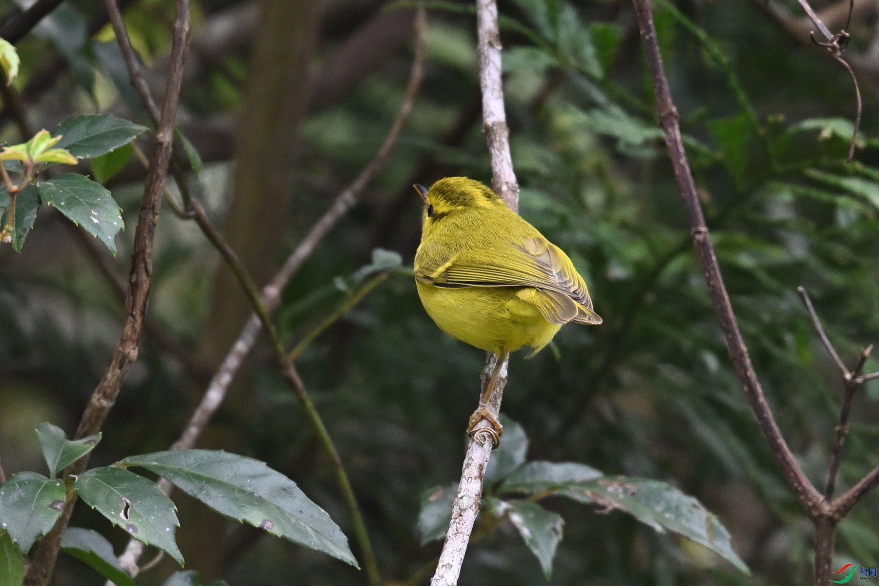 DSC_7101.JPG