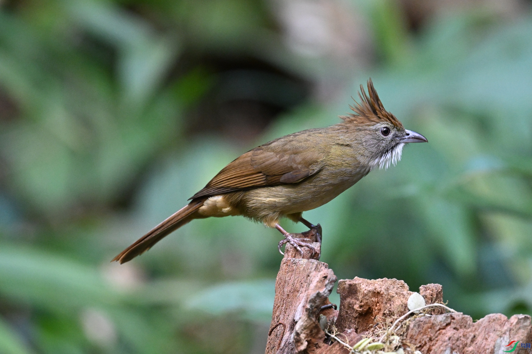 DSC_7221.JPG