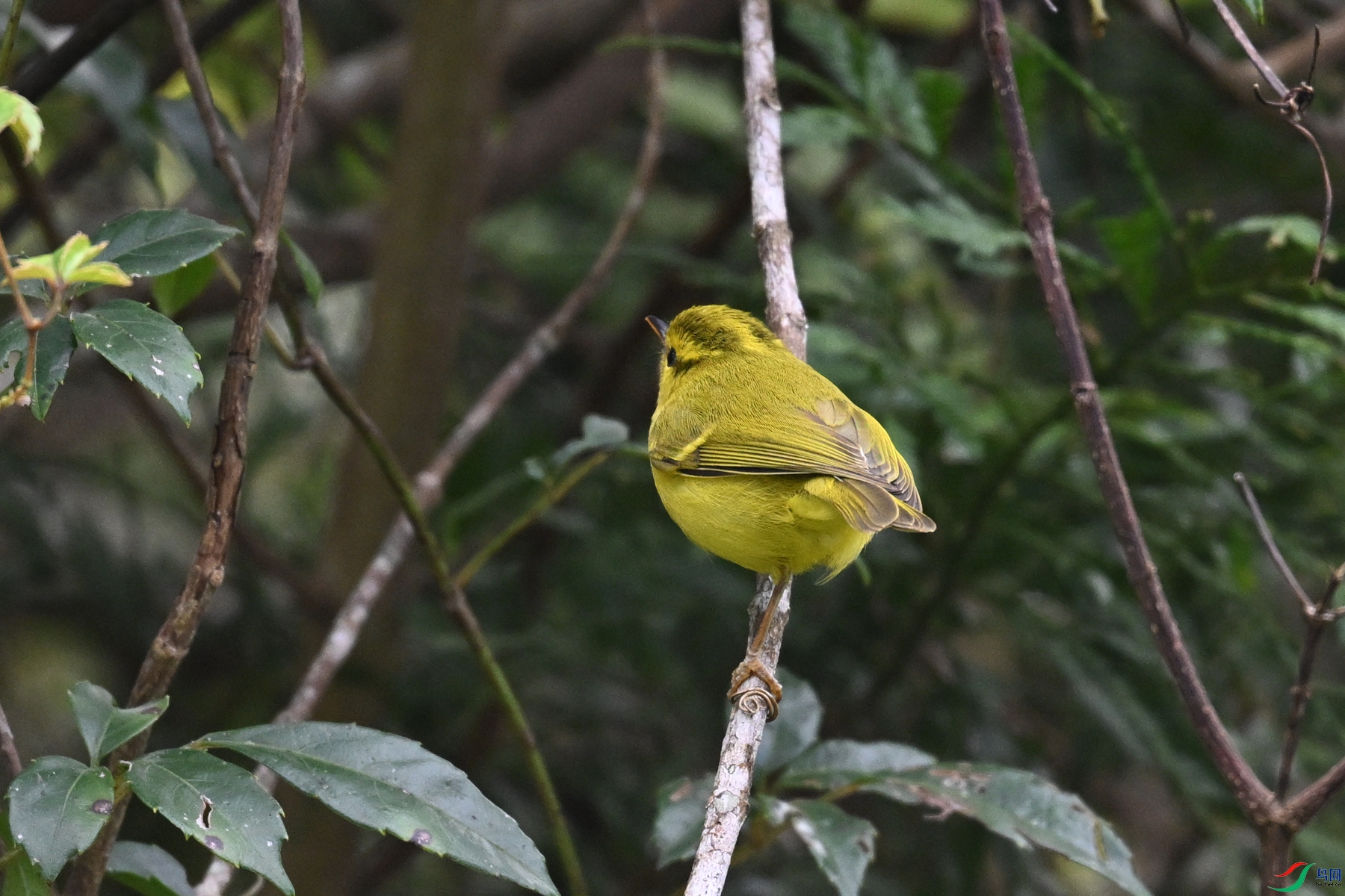 DSC_7102.JPG
